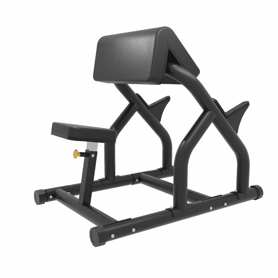 Preacher curl bench